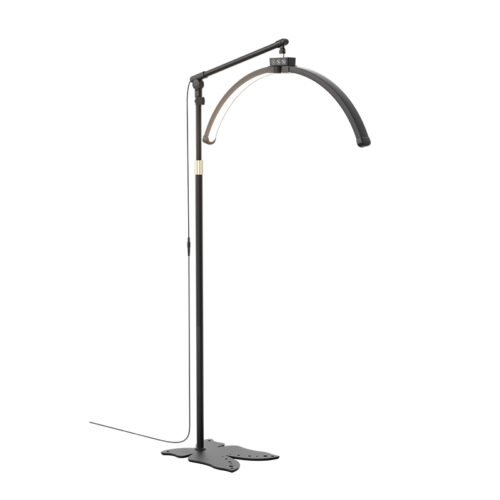 Crescent Series Floor Lamp