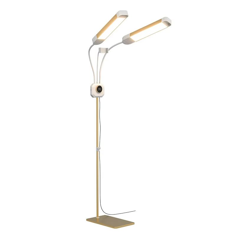 V2-Beauty Floor Lamp - 图片 2