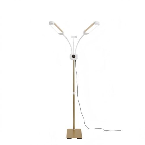 V2-Beauty Floor Lamp