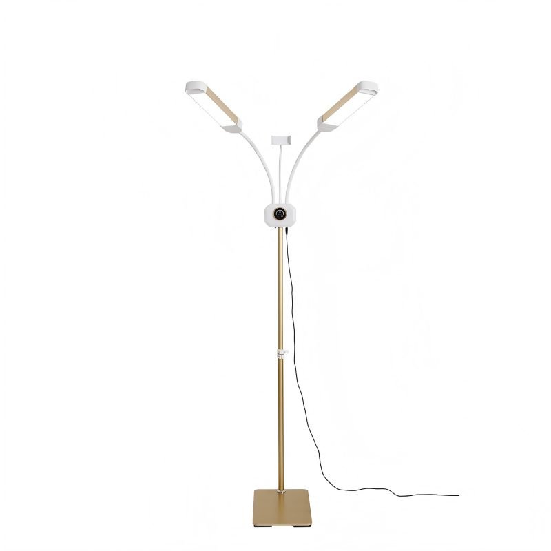 V2-Beauty Floor Lamp