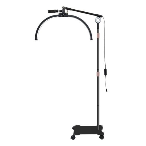 HD-M300X Dual Purpose Floor Beauty Lamp