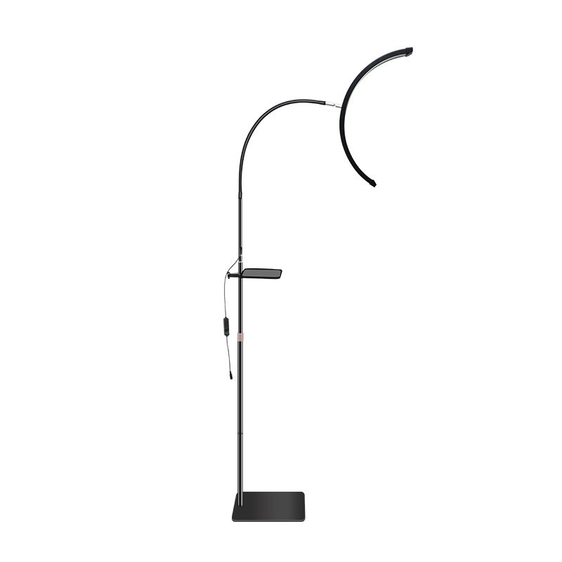 HD-P5 Floor Retractable Beauty Lamp - 图片 2