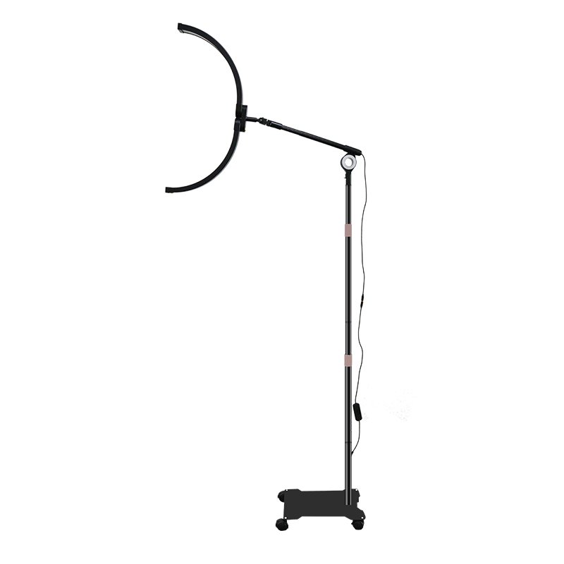 HD-M300X Dual Purpose Floor Beauty Lamp - 图片 4
