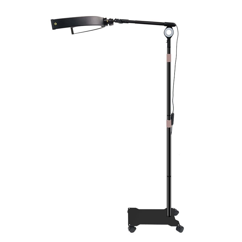 HD-M300X Dual Purpose Floor Beauty Lamp - 图片 3