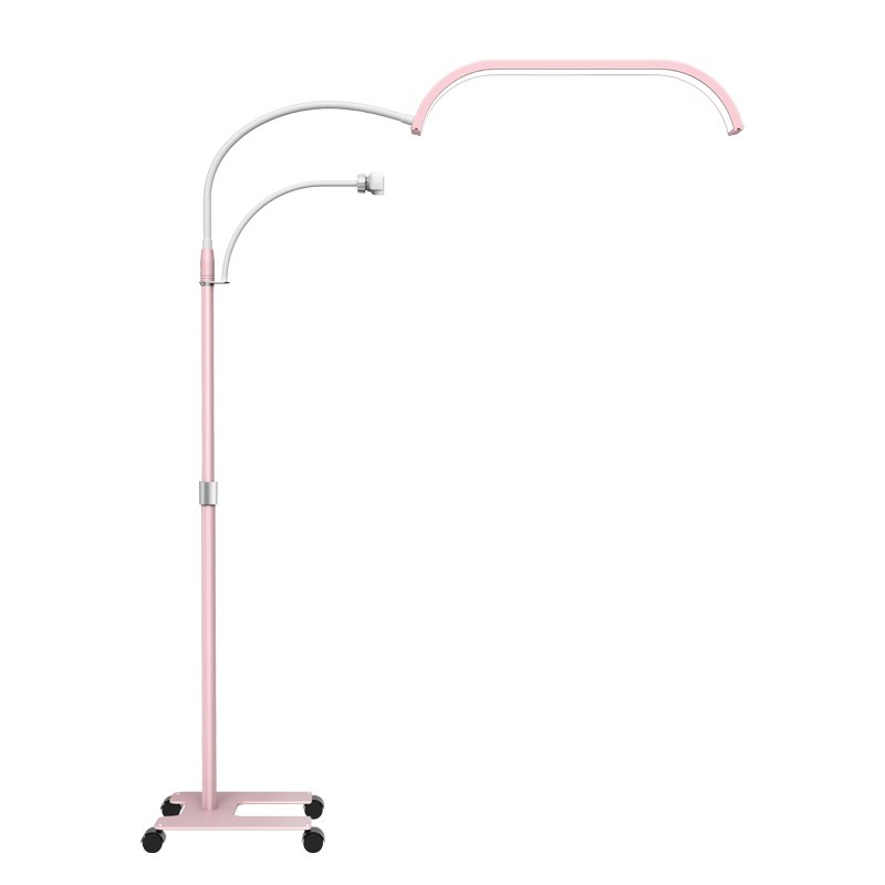 HD-G66X Led Beauty Floor Lamp - 图片 3